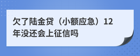 欠了陆金贷（小额应急）12年没还会上征信吗