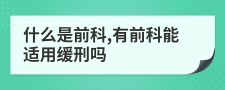 什么是前科,有前科能适用缓刑吗