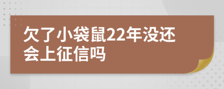 欠了小袋鼠22年没还会上征信吗