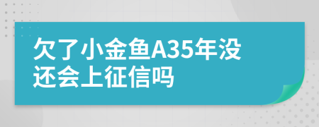 欠了小金鱼A35年没还会上征信吗