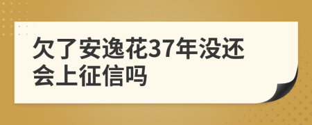 欠了安逸花37年没还会上征信吗