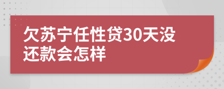 欠苏宁任性贷30天没还款会怎样