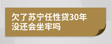 欠了苏宁任性贷30年没还会坐牢吗