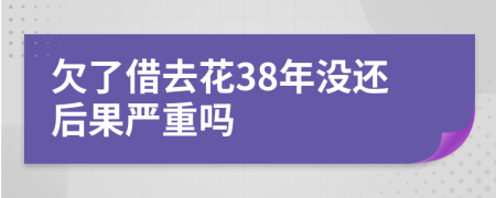 欠了借去花38年没还后果严重吗