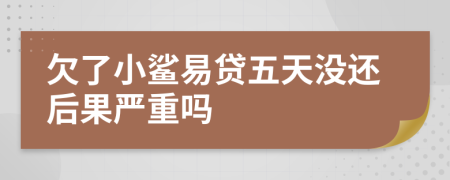 欠了小鲨易贷五天没还后果严重吗