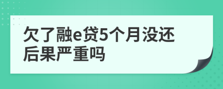 欠了融e贷5个月没还后果严重吗