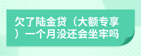 欠了陆金贷（大额专享）一个月没还会坐牢吗