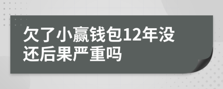 欠了小赢钱包12年没还后果严重吗