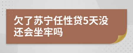 欠了苏宁任性贷5天没还会坐牢吗