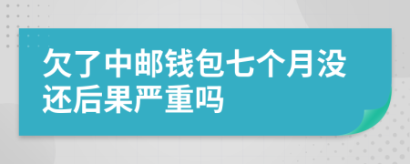 欠了中邮钱包七个月没还后果严重吗
