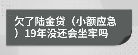 欠了陆金贷（小额应急）19年没还会坐牢吗