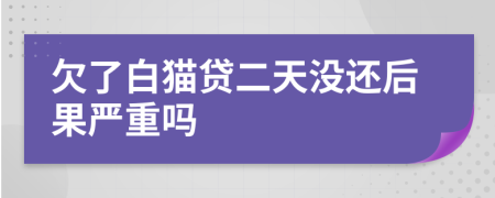 欠了白猫贷二天没还后果严重吗