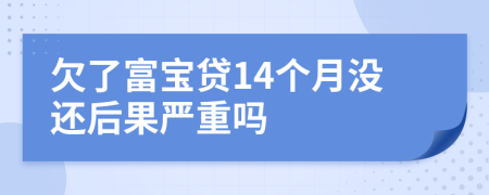 欠了富宝贷14个月没还后果严重吗