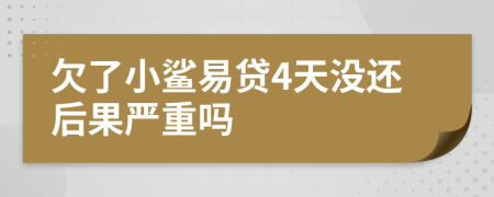 欠了小鲨易贷4天没还后果严重吗