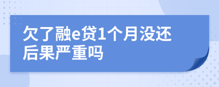 欠了融e贷1个月没还后果严重吗