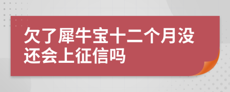 欠了犀牛宝十二个月没还会上征信吗