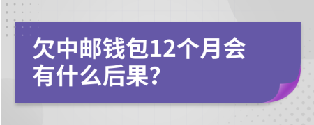 欠中邮钱包12个月会有什么后果？