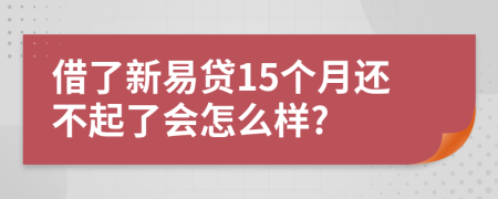 借了新易贷15个月还不起了会怎么样?