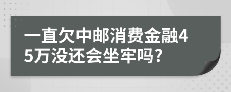 一直欠中邮消费金融45万没还会坐牢吗?