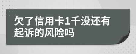 欠了信用卡1千没还有起诉的风险吗