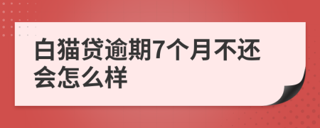 白猫贷逾期7个月不还会怎么样