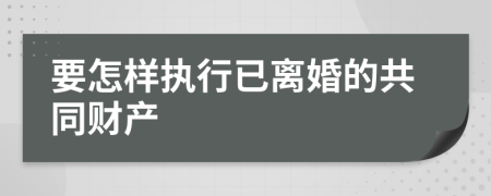 要怎样执行已离婚的共同财产