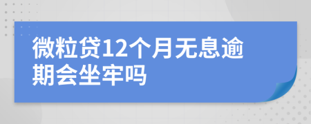 微粒贷12个月无息逾期会坐牢吗