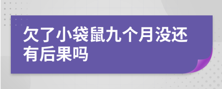 欠了小袋鼠九个月没还有后果吗