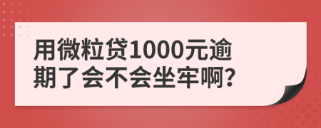 用微粒贷1000元逾期了会不会坐牢啊？