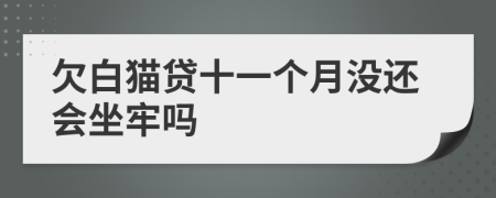 欠白猫贷十一个月没还会坐牢吗