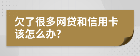 欠了很多网贷和信用卡该怎么办?