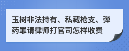 玉树非法持有、私藏枪支、弹药罪请律师打官司怎样收费