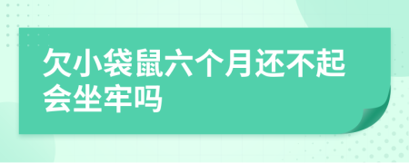 欠小袋鼠六个月还不起会坐牢吗