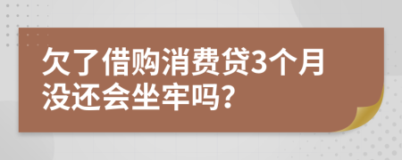 欠了借购消费贷3个月没还会坐牢吗？