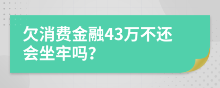 欠消费金融43万不还会坐牢吗？