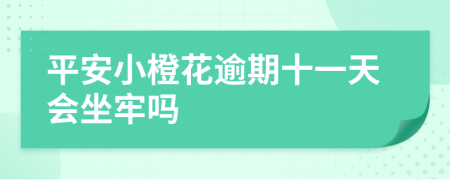 平安小橙花逾期十一天会坐牢吗