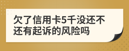 欠了信用卡5千没还不还有起诉的风险吗