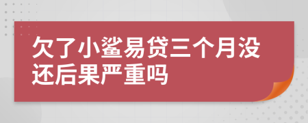 欠了小鲨易贷三个月没还后果严重吗