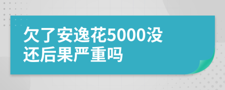 欠了安逸花5000没还后果严重吗