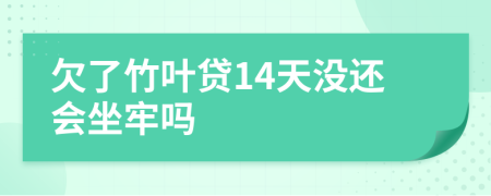 欠了竹叶贷14天没还会坐牢吗