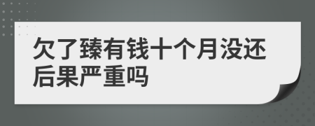 欠了臻有钱十个月没还后果严重吗