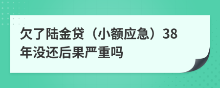 欠了陆金贷（小额应急）38年没还后果严重吗