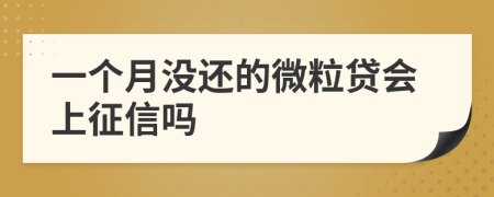 一个月没还的微粒贷会上征信吗
