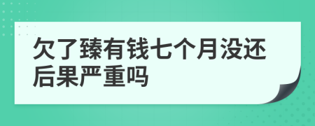 欠了臻有钱七个月没还后果严重吗