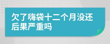 欠了嗨袋十二个月没还后果严重吗