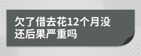 欠了借去花12个月没还后果严重吗