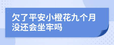 欠了平安小橙花九个月没还会坐牢吗