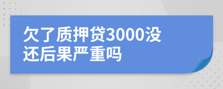 欠了质押贷3000没还后果严重吗