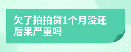 欠了拍拍贷1个月没还后果严重吗