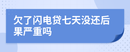 欠了闪电贷七天没还后果严重吗